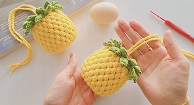mesh pineapple bag